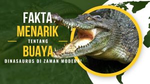 Fakta Menarik Tentang Buaya, Dinasaurus di Zaman Modern!