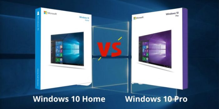 perbedaan windows 10 home dan pro
