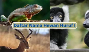 hewan huruf i