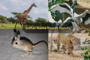 hewan huruf j