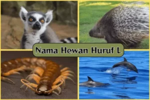Nama Hewan Huruf L