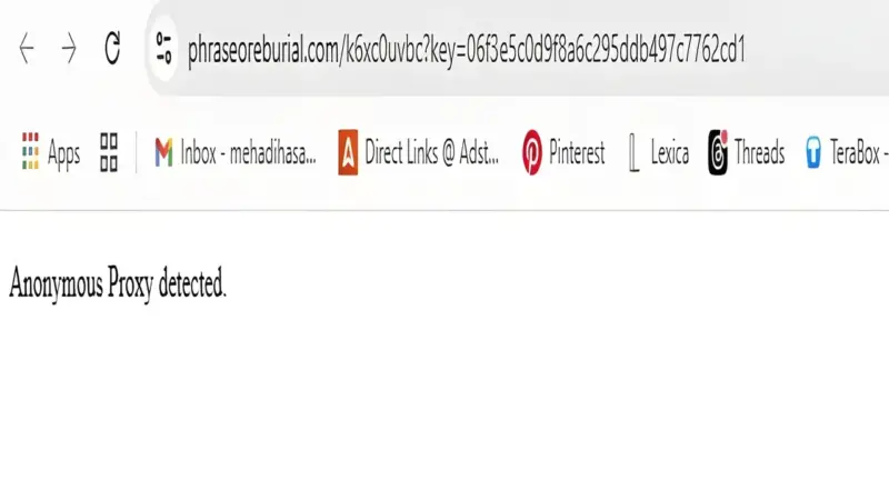 Cara Mengatasi Anonymous Proxy Detected Saat Menggunakan VPN - SEBERKAS